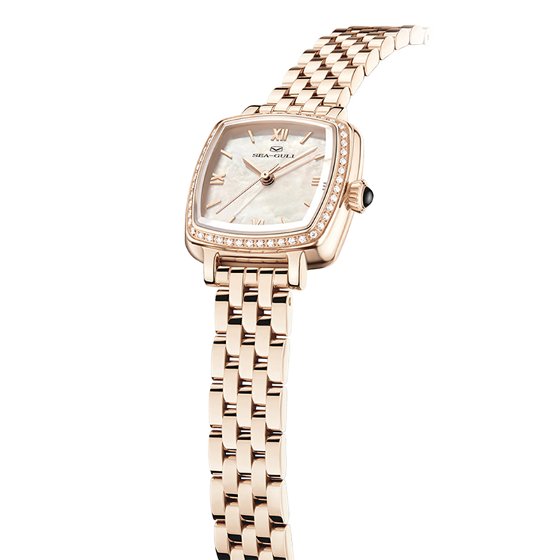 Montre automatique Seagull Horizon China Southern