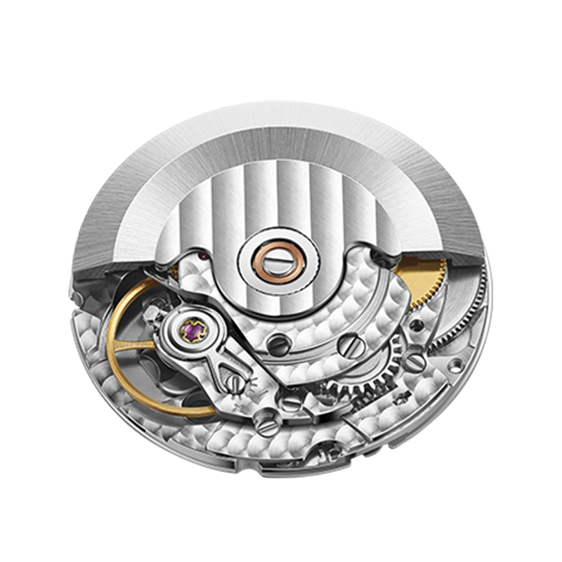 Seagull Transcendent Series 24 Solar Terms Star Calendar Watch