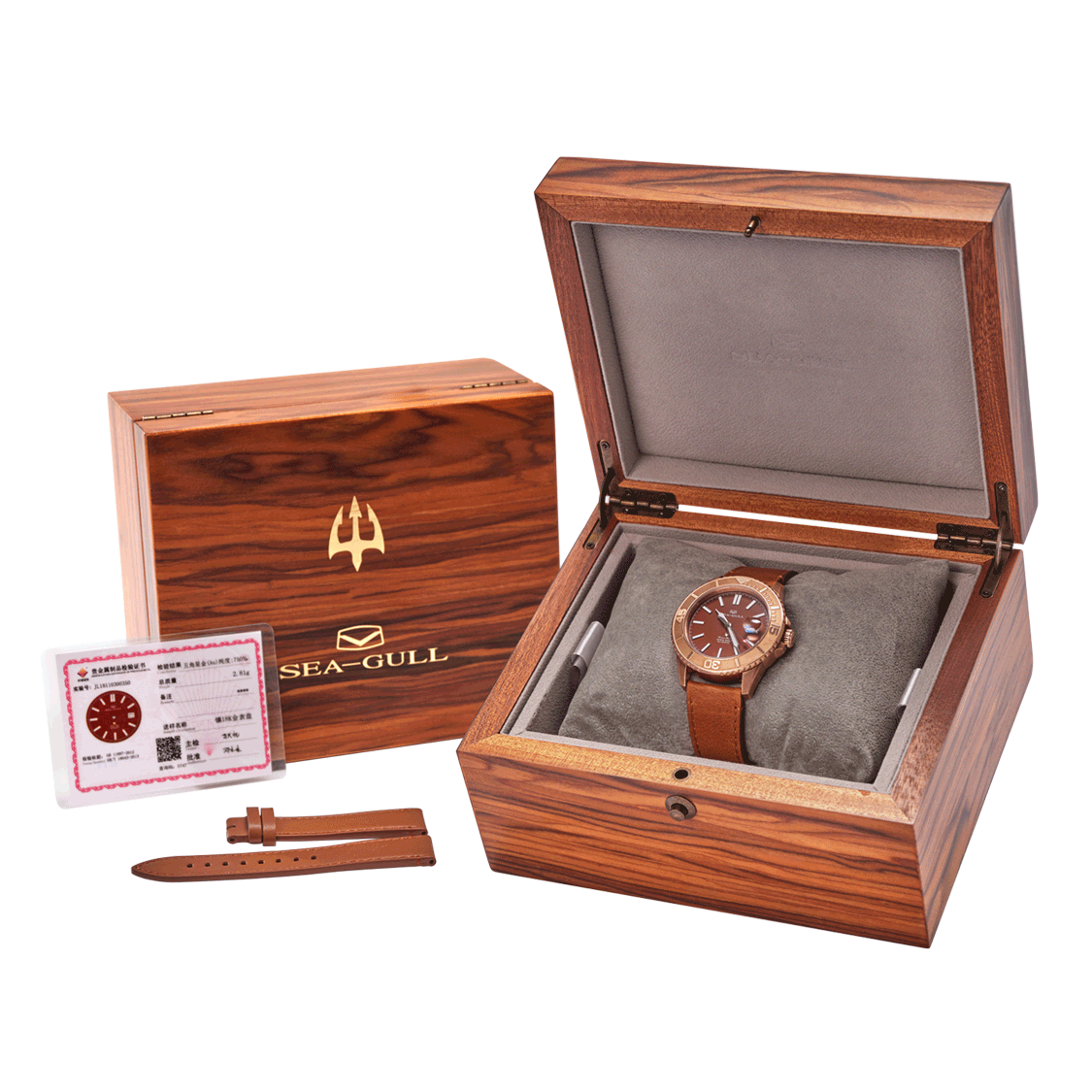 Seagull Ocean Star Bronze Case Watch