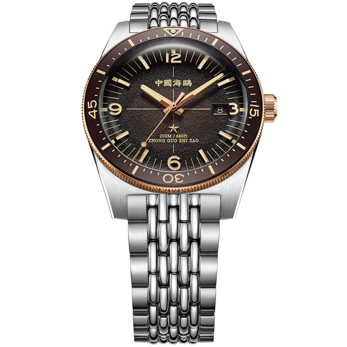 Seagull 1984 Antarctic Expedition Dive 200M Retro-Armbanduhr