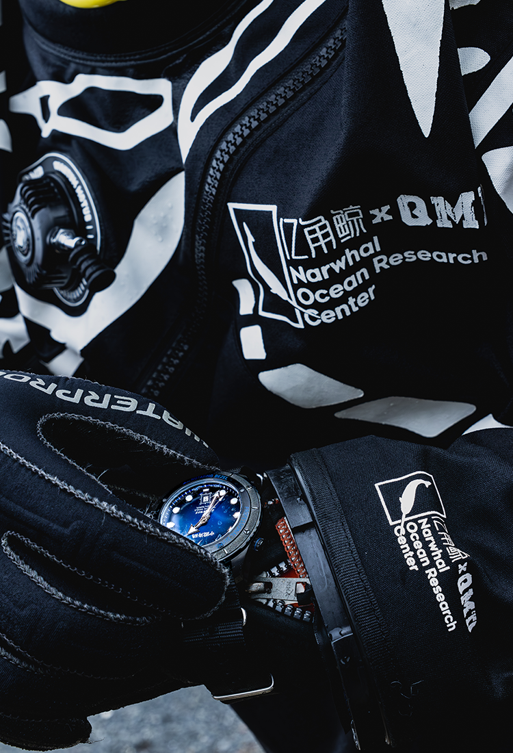 Seagull Okeanos Professional Ultra Diving Watch