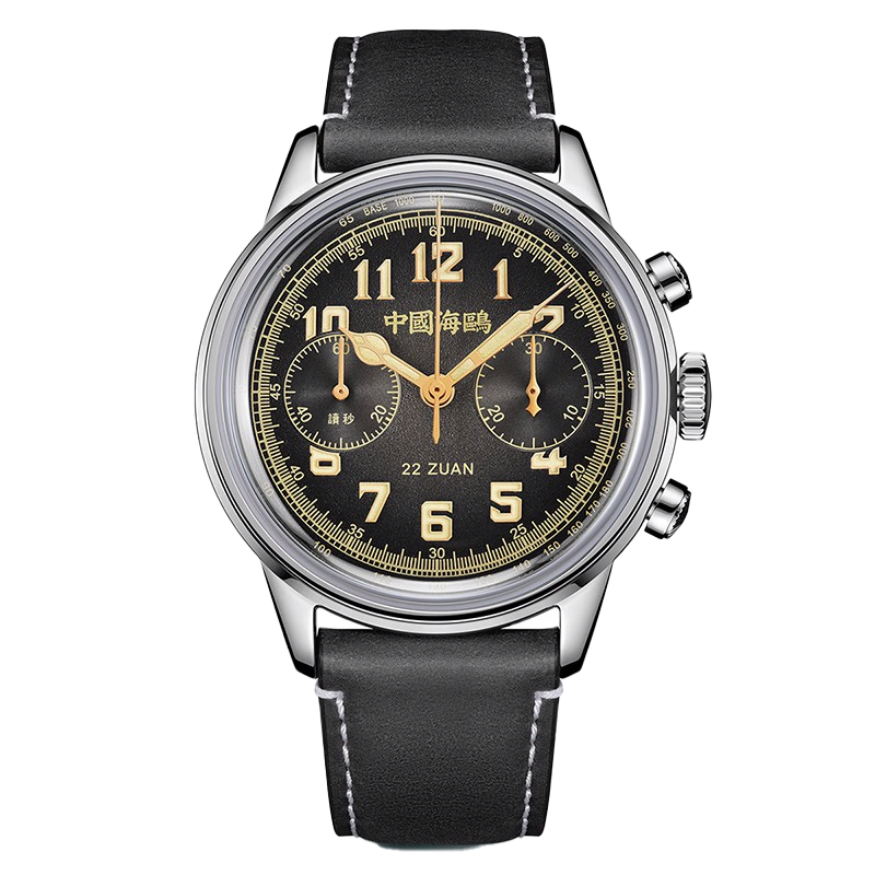 Seagull 1963 Wind Chaser Edition