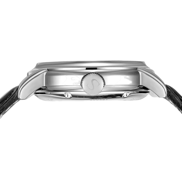 海鷗手錶|飛輪逆跳日曆動力儲存腕錶 42 毫米