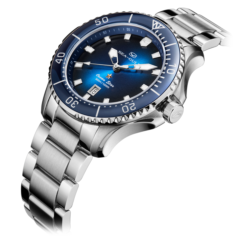 Seagull diver hot sale