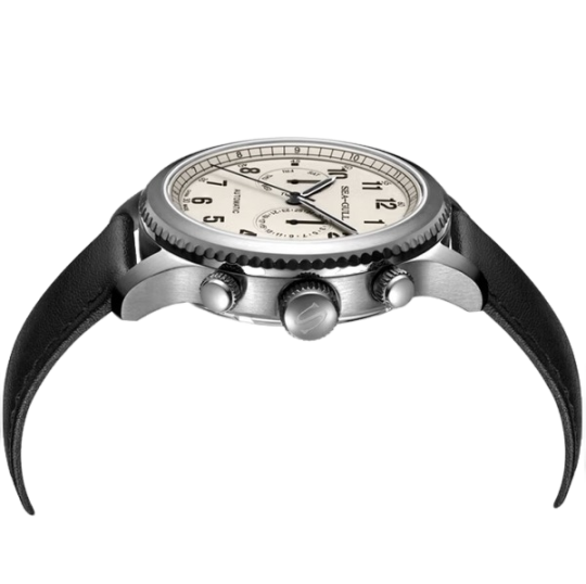 海鷗手錶|航空雙時區飛行員自動腕錶 43 毫米